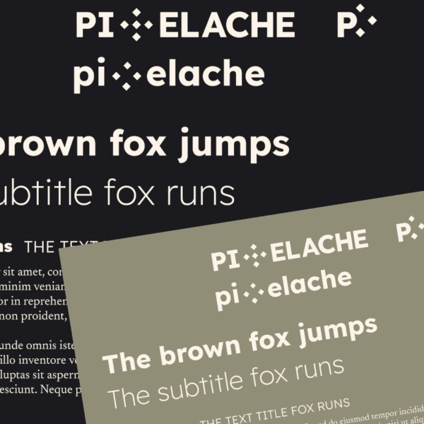 brown fox jumps